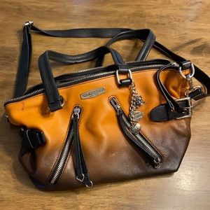 Harley Davidson Ombré Purse